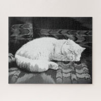 White Persian Sleeping Cat