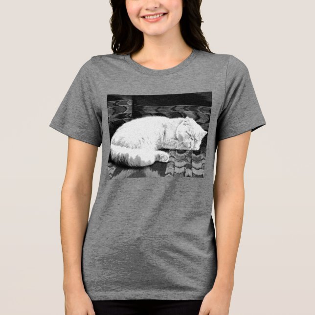 White Persian Sleeping Cat Tri-Blend Shirt (Front)