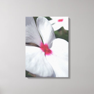 White Petals - Floral Illustration Canvas Print
