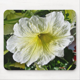 White Petunia Series Coordinating Items Mouse Mat