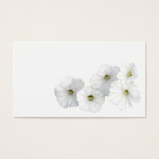 White Petunias
