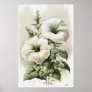 White Petunias Flower Art Print Poster