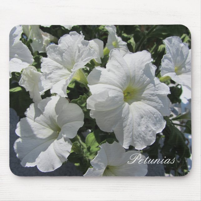 White Petunias Mouse Mat (Front)