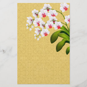 White Phalaenopsis Orchid Flowers Stationery