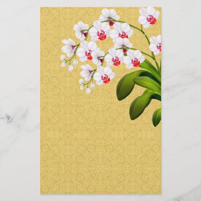 White Phalaenopsis Orchid Flowers Stationery (Front)