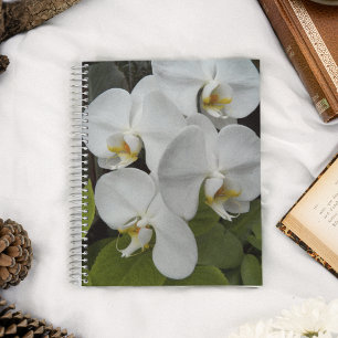 White Phalaenopsis Orchids Floral Notebook