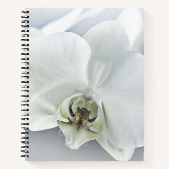White Phaleonopsis Orchid Notebook (Front)