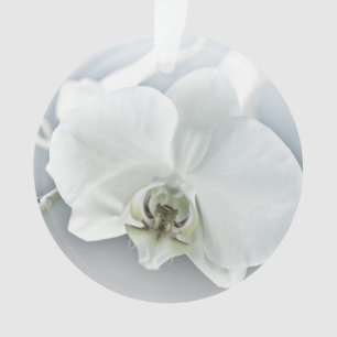 White Phaleonopsis Orchid Ornament