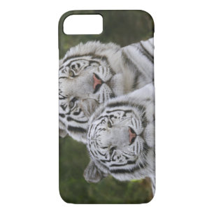 White phase, Bengal Tiger, Tigris iPhone 8/7 Case