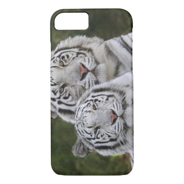 White phase, Bengal Tiger, Tigris Case-Mate iPhone Case (Back)