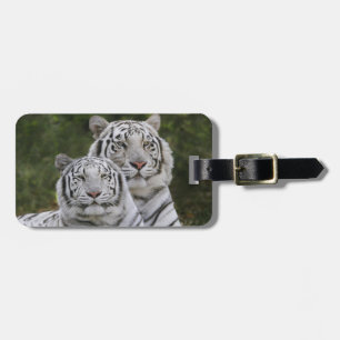 White phase, Bengal Tiger, Tigris Luggage Tag