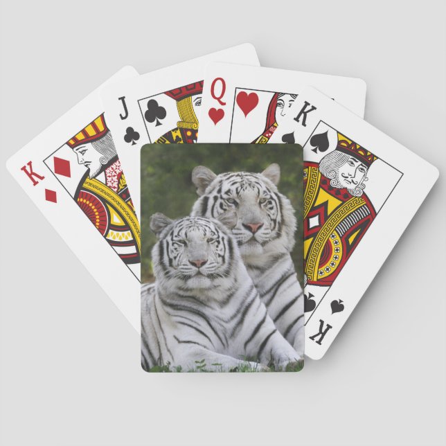 White phase, Bengal Tiger, Tigris Playing Cards (Back)