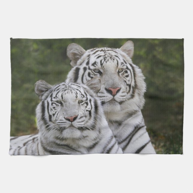 White phase, Bengal Tiger, Tigris Tea Towel (Horizontal)