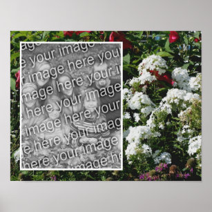 White Phlox Flower Garden Add Your Photo Poster
