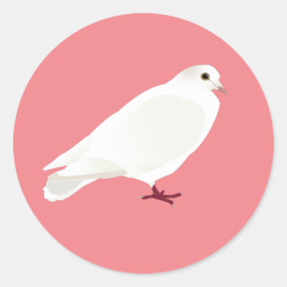 White Pigeon (Dove) Classic Round Sticker