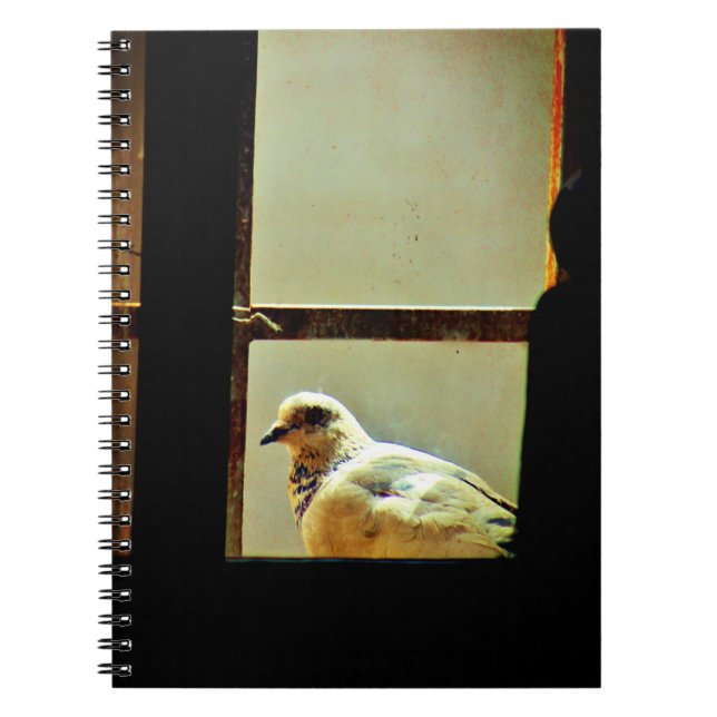 White Pigeon Notebook (Front)