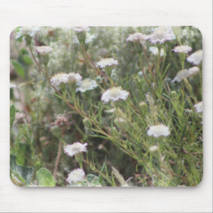 White Pincushion Wildflowers Digital Watercolor Mo Mouse Mat