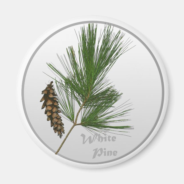 White Pine Tree Magnet (Front)