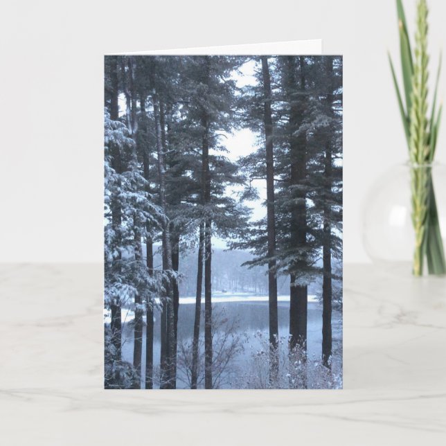 White Pines in Blue Light --- Holiday Card (Front)