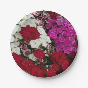 White, Pink and Red Dianthus Floral Paper Plate