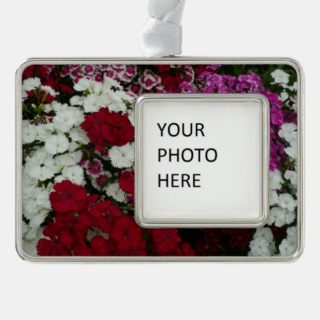 White, Pink and Red Dianthus Floral Silver Plated Framed Ornament (Front)