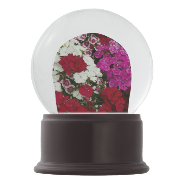 White, Pink and Red Dianthus Floral Snow Globe (Front)