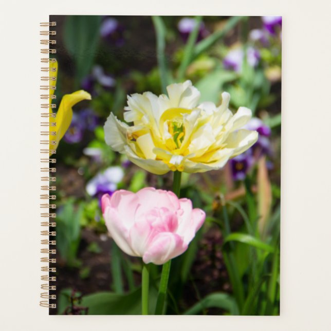 White, pink and yellow tulips in the garden    planner (Front)