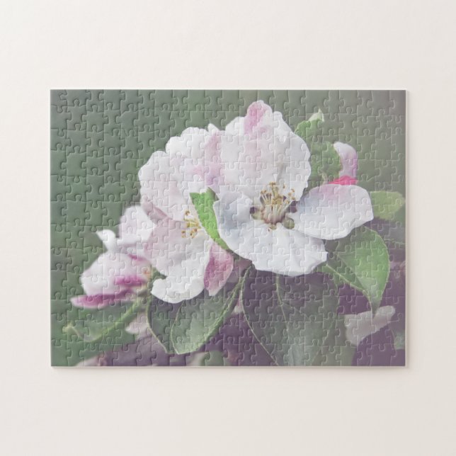 White Pink Blossom Blooming Apple Tree Jigsaw Puzzle (Horizontal)