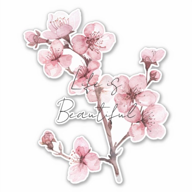White Pink Cherry Blossom Floral  (Front)
