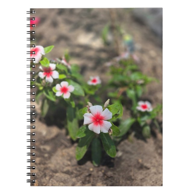 white pink flower notebook (Front)
