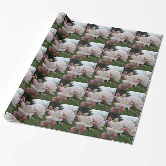 White & Pink  Flower Wrapping Paper (Unrolled)