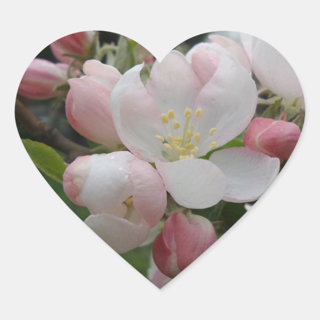 White Pink Flowers Heart Sticker (Front)