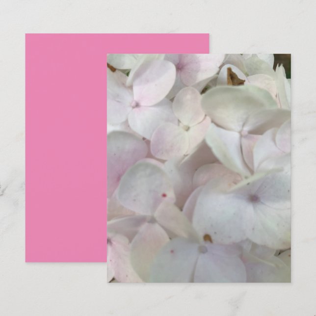 White Pink Hydrangea Blossoms Scrapbook Paper (Front/Back)