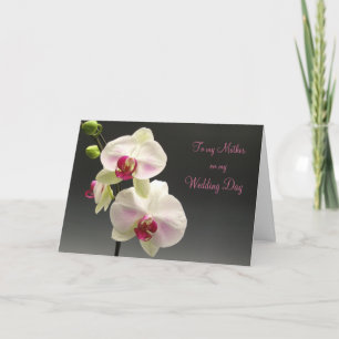 White pink orchids Thank you Mother for my Wedding