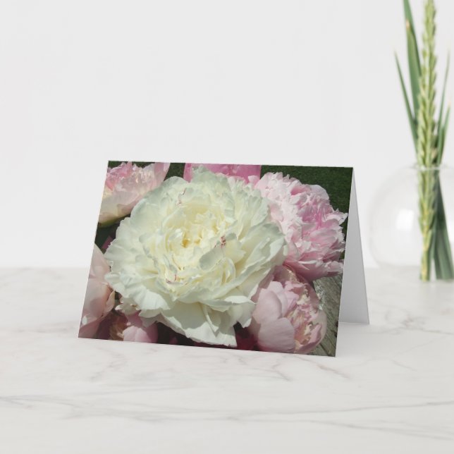 White Pink Peonies Blank Inside Greeting Card (Front)