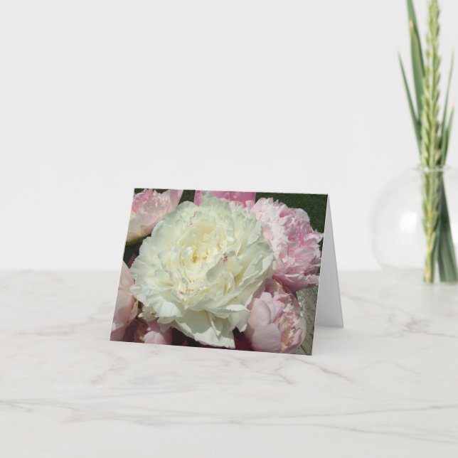 White Pink Peonies / Pink Peony Note Cards (Front)