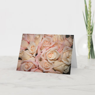 white pink rose card