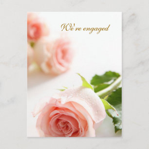 White pink rose Engagement Announcement