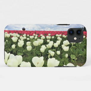 White & Pink Tulip Field, Oregon iPhone 11 Case