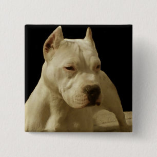 White pitbull 15 cm square badge