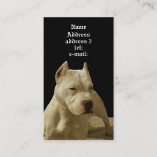 White pitbull business card
