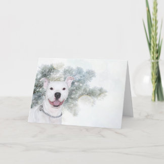 White pitbull Christmas Holiday Card