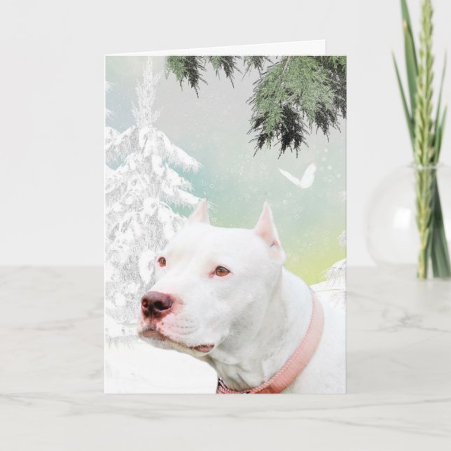 White pitbull in snow holiday card (Front)