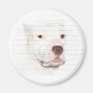 White pitbull terrier face magnet