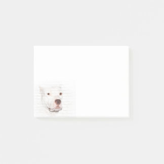 White pitbull terrier face post-it notes