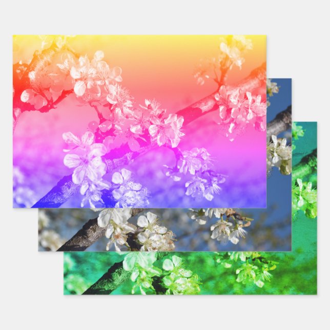 White Plum Blossoms in Spring Wrapping Paper Sheet (Set)