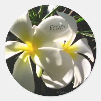 White Plumaria RSVP Wedding Envelope Seals