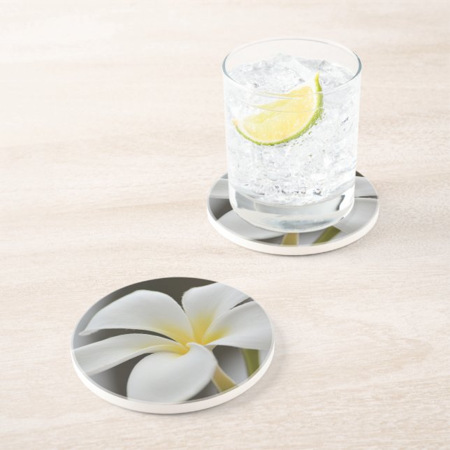 White Plumeria Flower Kauai  Coaster (Side)