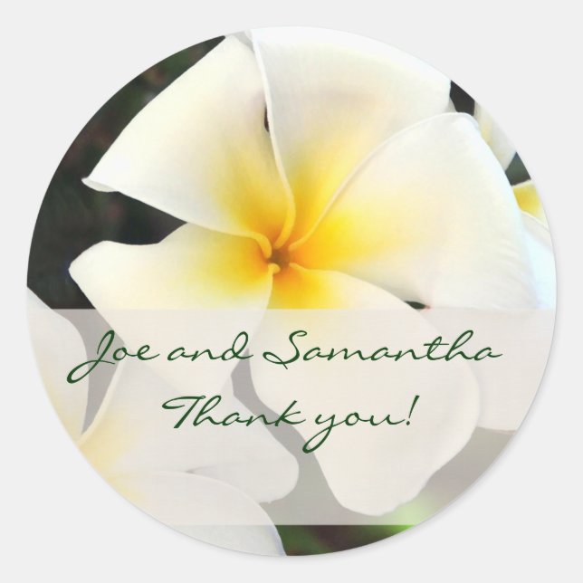 White Plumeria Flower Thank You Sticker (Front)