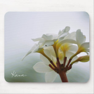 White Plumeria Flowers Kauai (photo taken by me) Mouse Mat